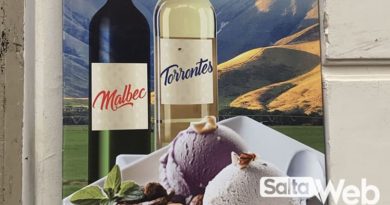 Helados de Vino en Cafayate Heladería Dessio Cafayate