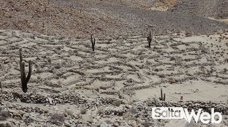yacimiento santa rosa de tastil